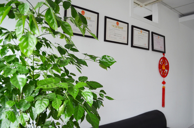 太倉網(wǎng)站建設(shè)公司選擇太倉澤網(wǎng)網(wǎng)絡(luò)公司