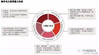 海外電力投資 趨勢(shì)、挑戰(zhàn)與資產(chǎn)管理新思路